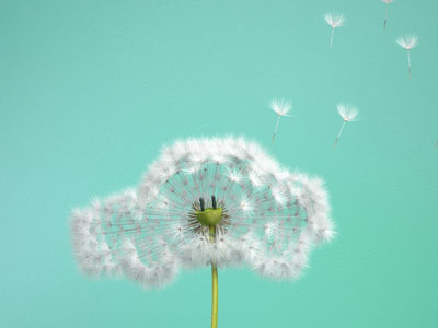 Campagne publicitaire 3D réalisée pour BNP Paribas